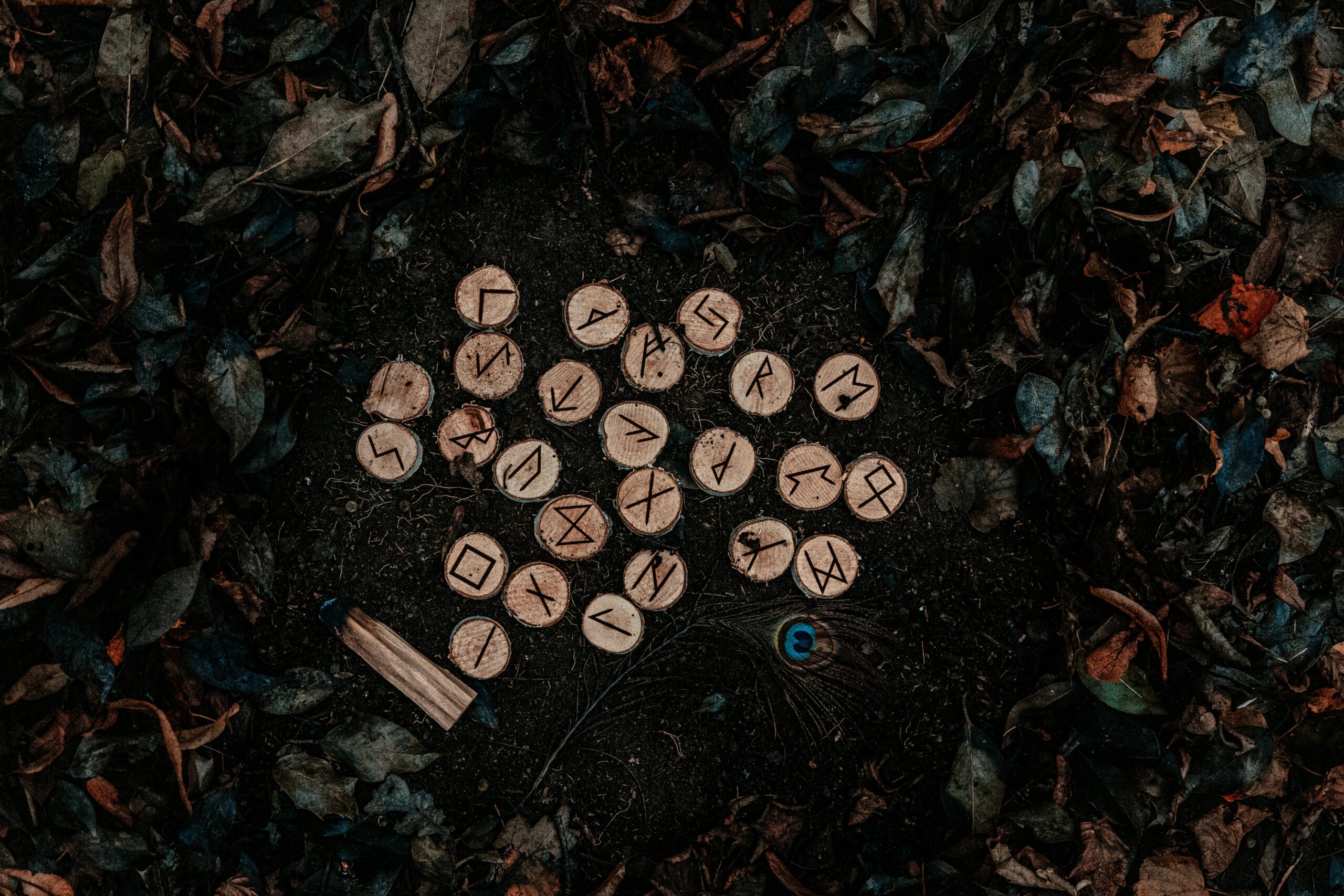 pexels-photo-10110445 Runic Letters on Wood Chunks and Ground with Autumn Leaves